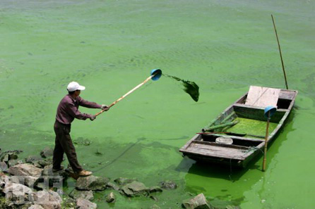 China pollutes water sources because of 'chemical dependence'