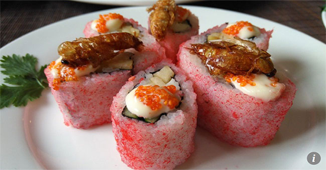 China produces sushi and meat from farms of billions of cockroaches