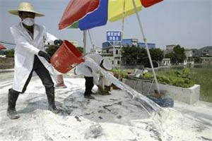 China promotes prevention of bird flu