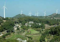 China: Replace oil with biofuels