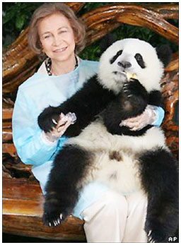 China - Spain cooperates to preserve panda
