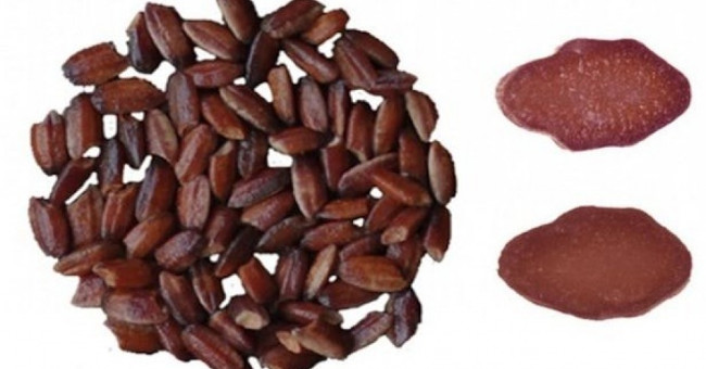 China successfully bred purple rice for cancer treatment