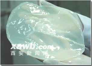 China successfully cultivated artificial skin