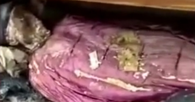 Chinese aristocrat remains intact after 1,000 years