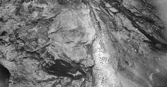 Chinese farmers discovered traces of black dragon on rocks