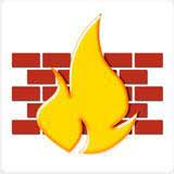 Chinese firewalls generated serious flaws