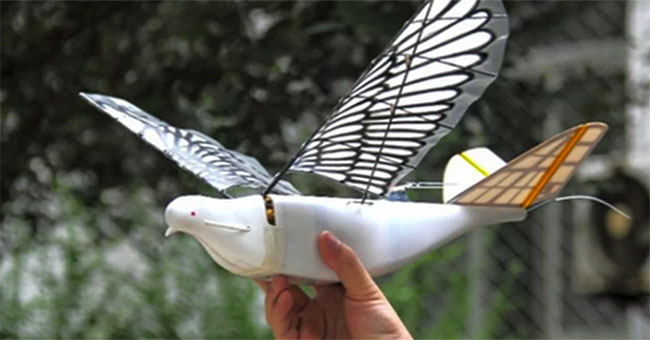 Chinese patent pigeon UAV radar blindfold