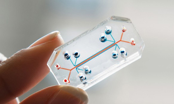 Chip organ simulation won the Design of the Year 2015 award