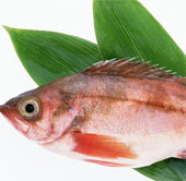 Choose fresh fish How is science?