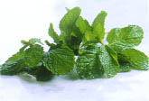 Choose herbs for sauna