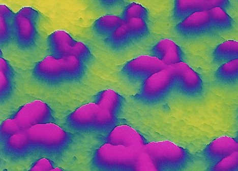 Chromosomal end points indicate human life expectancy