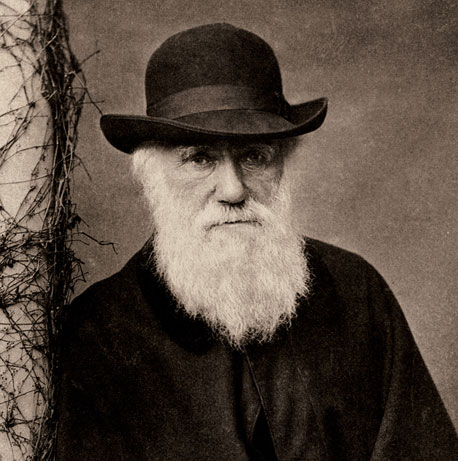 Clarification of Darwinism