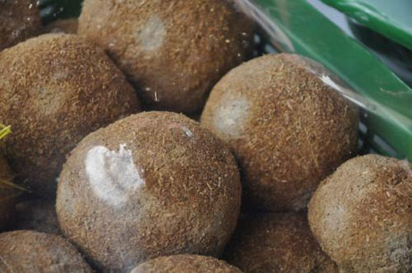 Clean flood water by micro-ball in Thailand