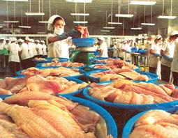 Clean fuel from basa fish fat