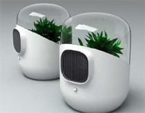 Clean indoor air with a filter from the tree