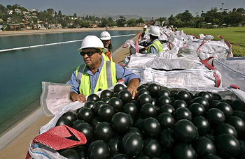 Clean the pool with plastic balls