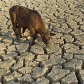 Climate change 'attacks' the Volta delta