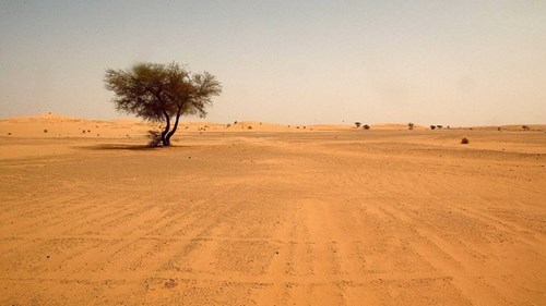 Climate change brings rain to Africa