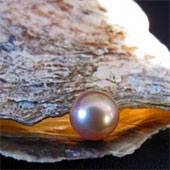 Climate change causes seawater acidification to threaten marine species