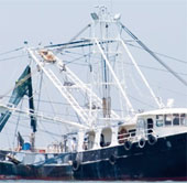 Climate change changes the world fishing map
