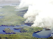 Climate change - 'culprit' causes wildfires and unusual heat