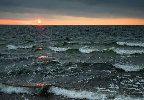Climate change facilitates bacterial spread in Northern Europe