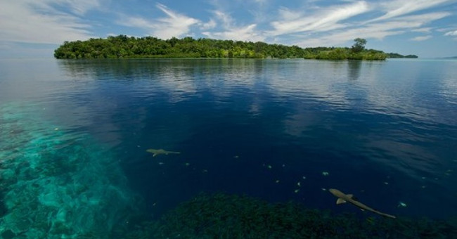 Climate change has engulfed 5 islands in the Pacific Ocean