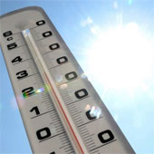 Climate change increases kidney stones