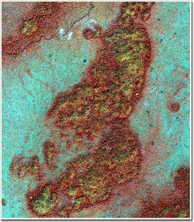 Climate change leads to the collapse of Maya civilization
