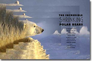 Climate warming threatens polar bears