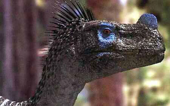 Clip: Walking with dinosaurs