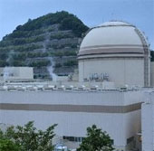 Close to a non-white nuclear power plant