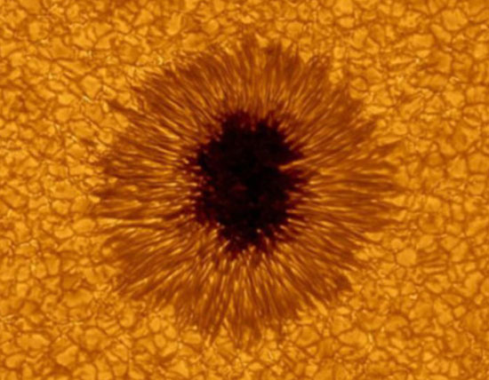 Close up of black spots on the Sun.