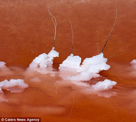 Close up of blood pools in France