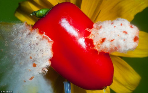 Close up of moments when objects explode