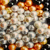 Close up of raising boys to get pearls on Phu Quoc island