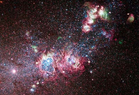 Close up of the 'breeding' star