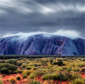 Close-up of beautiful wild nature photos