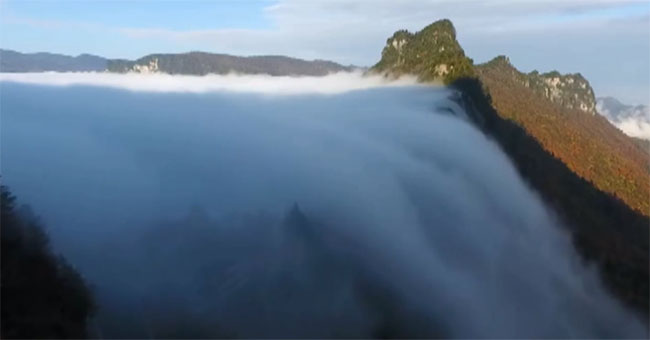 Cloud waterfall cascades down the autumn forest in China
