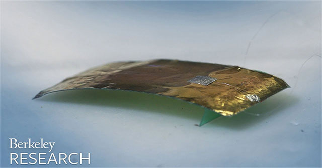 Cockroach robots can bear a million times more weight