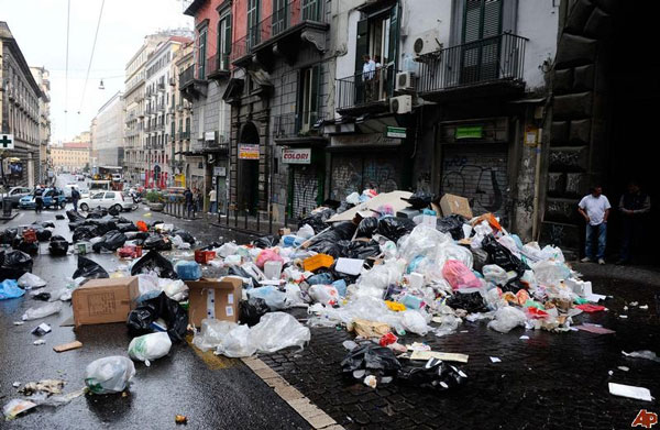 Cockroaches 'invasion' city of Italy