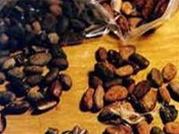 Cocoa helps lower blood pressure