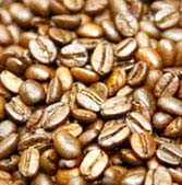 Coffee flavor originates from mushrooms