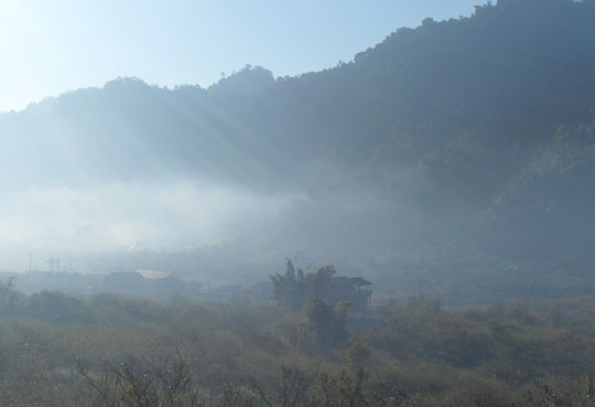 Cold, damaging cold, north of the temperature down 5 degrees Celsius
