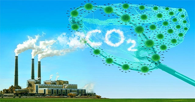 Collect CO2 gas for oil extraction
