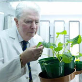 Collect nitrogen fertilizer from the air