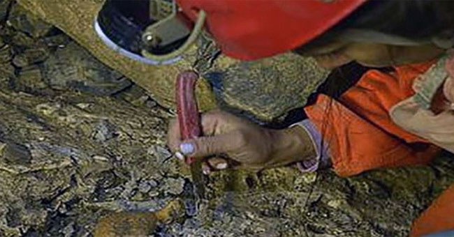 Colombia discovered a treasure of 5 million years old paleontology