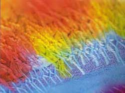 Color change fabric