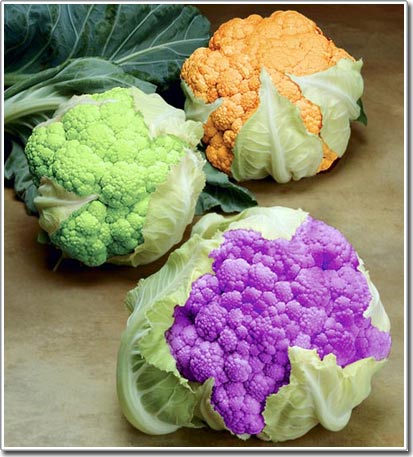 Colorful cauliflower