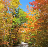 Colorful collections throughout the world